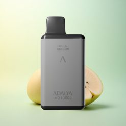 Adalya AD 10000 Hawaii Space Gray USB-C 650mAh